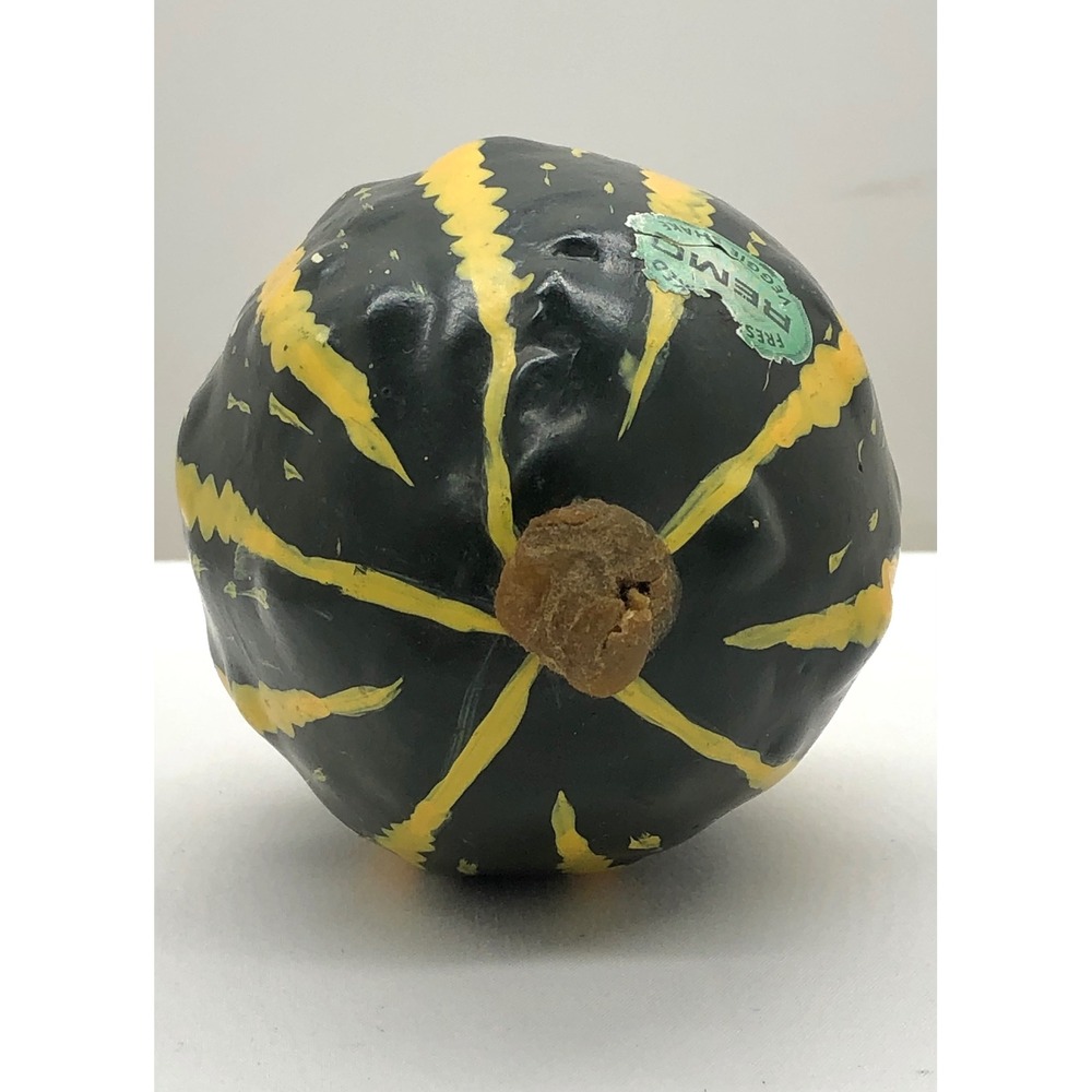 Remo Veggie Shake Hand Percussion Gourd Style Shaker Green Yellow Striped - Picture 8 of 11